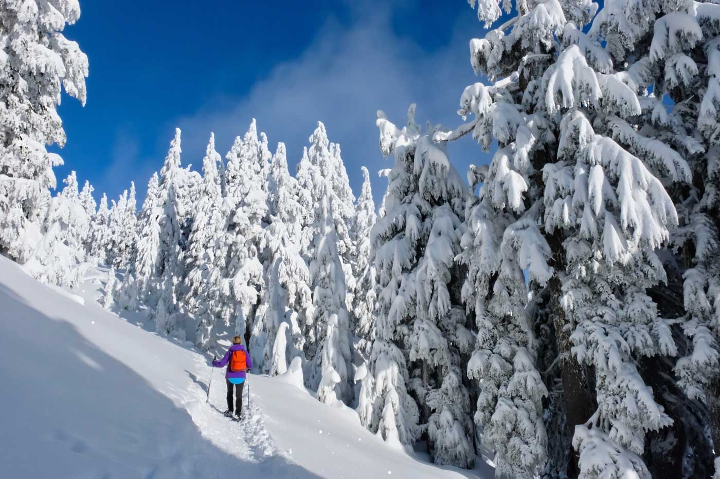 Snowshoe rental near Mt St Helens at Lone Fir Resort lodge store. A man showshoes in Marble Mountain Sno-Park.