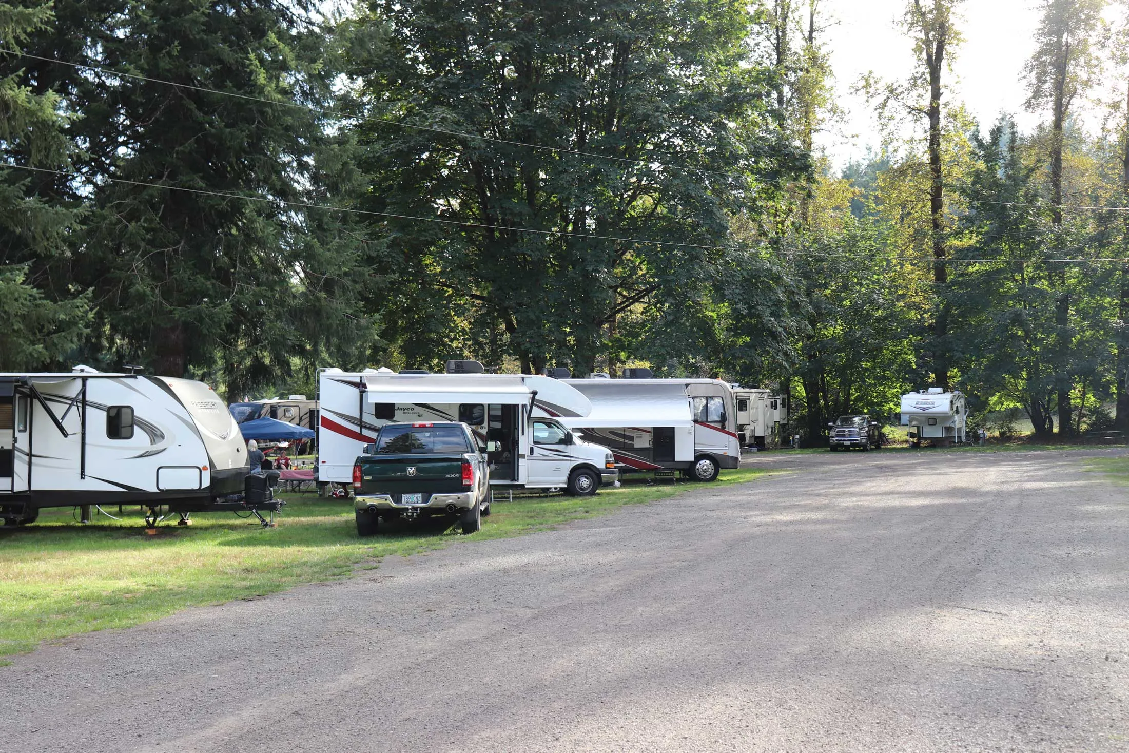 Camping near Mt St Helens at Lone Fir Resort